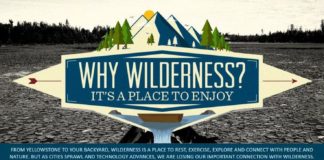 Travel infographic – Why does wilderness matter? Infographic