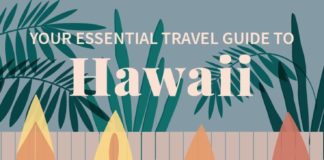 Travel infographic – Your Essential Travel Guide to Hawaii (Infographic)