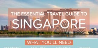 Travel infographic – Your Essential Travel Guide to Singapore (Infographic)