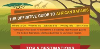 Travel infographic – Your One-Stop Guide to Planning a Grand African Safari Vacation – Infographic