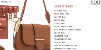Fashion infographic : These are 2019 the most Stylish Bags!
