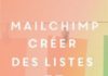 Digital Marketing : Créer et envoyer sa 1ère newsletter avec Mailchimp