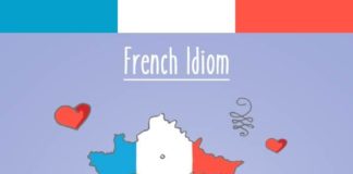 Educational infographic : 25 Funny French Idioms Translated Literally