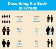 Educational infographic : Learn Korean Fast with Infographics – KoreanClass101.com