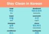 Educational infographic : Learn Korean Fast with Infographics – KoreanClass101.com