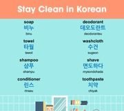 Educational infographic : Learn Korean Fast with Infographics – KoreanClass101.com