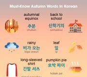 Educational infographic : Learn Korean Fast with Infographics – KoreanClass101.com