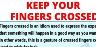 Educational infographic : Heart Idioms | 55+ Important Idioms about Heart for ESL Students – English Study…