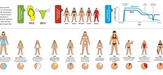 Fashion infographic :