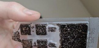 Fashion infographic : 22 Fashion Infographics You Need In Your Life