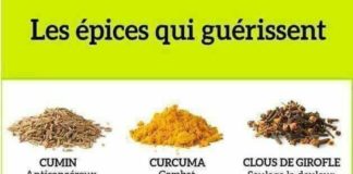 Educational infographic :