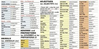 Educational infographic : Educational infographic : Vocabulaire 12/12