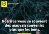 Science infographic – Saviez Vous Que? | Tous les jours, découvrez de nouvelles infos pour briller en…