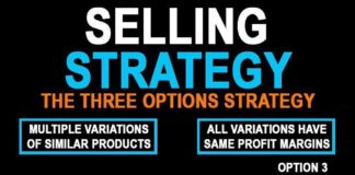 Business infographic :