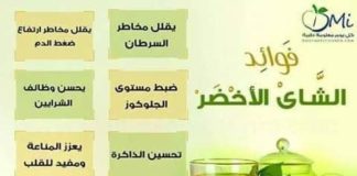 Food infographic –