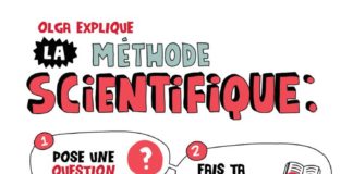 Educational infographic : Elise Gravel | auteure – illustratrice