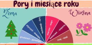 Educational infographic :