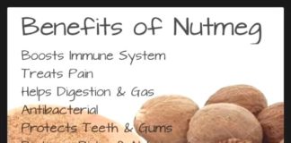 Food infographic –