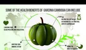 Food infographic – 25 quick way to lose weight 5 kg in 5 weeks