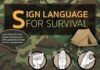 Educational infographic : Educational infographic : Signal Language Infographic…. *** Find out more at the image link #signlanguag…