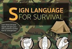 Educational infographic : Educational infographic : Signal Language Infographic…. *** Find out more at the image link #signlanguag…