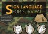 Educational infographic : Educational infographic : Signal Language Infographic…. *** Find out more at the image link #signlanguag…