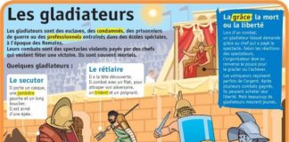 Educational infographic : Educational infographic : Fiche exposés : Les gladiateurs…