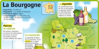 Educational infographic : Educational infographic : Fiche exposés : La Bourgogne…