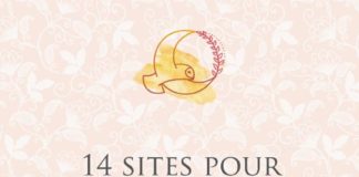 Business infographic : 14 sites pour télécharger des motifs