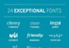 Business infographic : 24 Exceptional Fonts