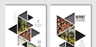 Business infographic : Business brochure design template. Vector flyer layout, blur background with ele…