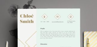 Business infographic : Business infographic : Creative Resume Template Editable in MS Word and by CvDesignCo…