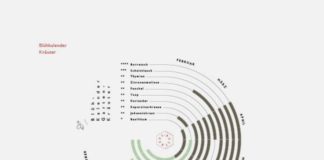 Business infographic : De la data pour la défense des abeilles