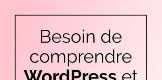 Business infographic : Guide WordPress PDF 2019 : débuter, créer et maintenir son site de A à Z