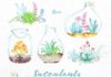 Business infographic : Plantes succulentes à la maison. Bouquets de fleurs aquarelle et succulentes en pots. Peint des fleurs, des éléments bricolage de mariage, fleurs, invite à la main