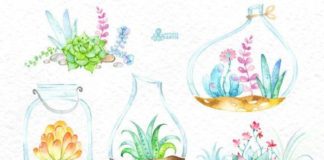 Business infographic : Plantes succulentes à la maison. Bouquets de fleurs aquarelle et succulentes en pots. Peint des fleurs, des éléments bricolage de mariage, fleurs, invite à la main