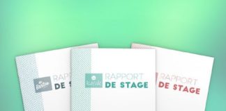 Business infographic : Rapport de stage on Behance: