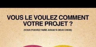 Business infographic : Vous le voulez comment votre projet ?