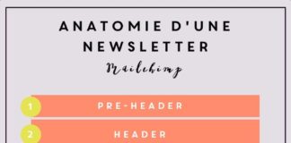 Digital Marketing : Créer et envoyer sa 1ère newsletter avec Mailchimp