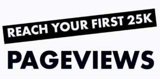 Digital Marketing : How to Reach Your First 25k Pageviews As a New Blogger – Twins Mommy