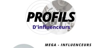 Digital Marketing : Influenceur : dis moi qui tu es, je te dirai quel profil tu as ! | Le blog du Co…