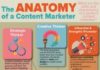 Digital Marketing : Infographic on The Anatomy of a Content Marketer anatomy-of-a-content-marketer #…