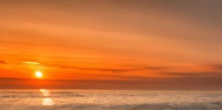 Digital Marketing : The Best Influencer Marketing Tips for Beginners You Should Know Now