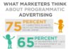 Digital Marketing : What Marketers Really Think About Programmatic Advertising Infographic