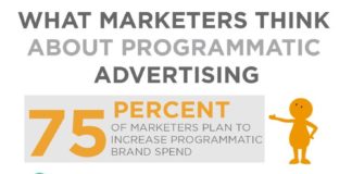 Digital Marketing : What Marketers Really Think About Programmatic Advertising Infographic