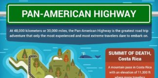 Educational infographic : 13 Education Infographic Examples & Templates – Daily Design Inspiration #3