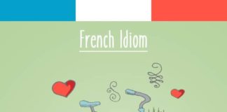 Educational infographic : 25 Funny French Idioms Translated Literally