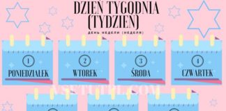 Educational infographic :