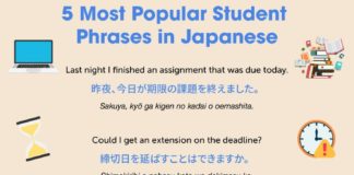 Educational infographic : 5 Most Popular Student Phrases in Japanese! 👨🎓 PS: Learn Japanese with …