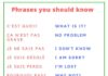 Educational infographic : 50 Common French Phrases Every French Learner Should Know